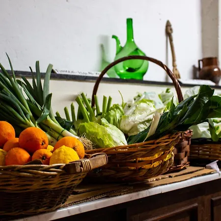 Iacovino * Sarzana