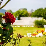 Iacovino * Sarzana