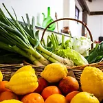 Iacovino