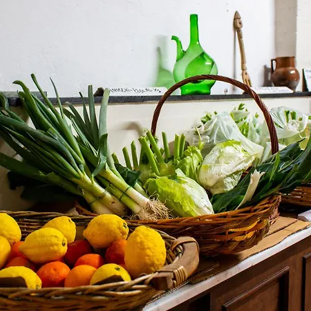 Iacovino * Sarzana