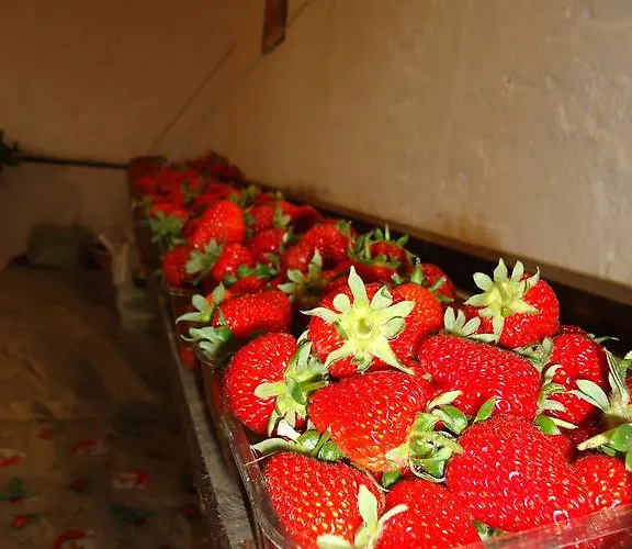 Iacovino Agroturismo Sarzana